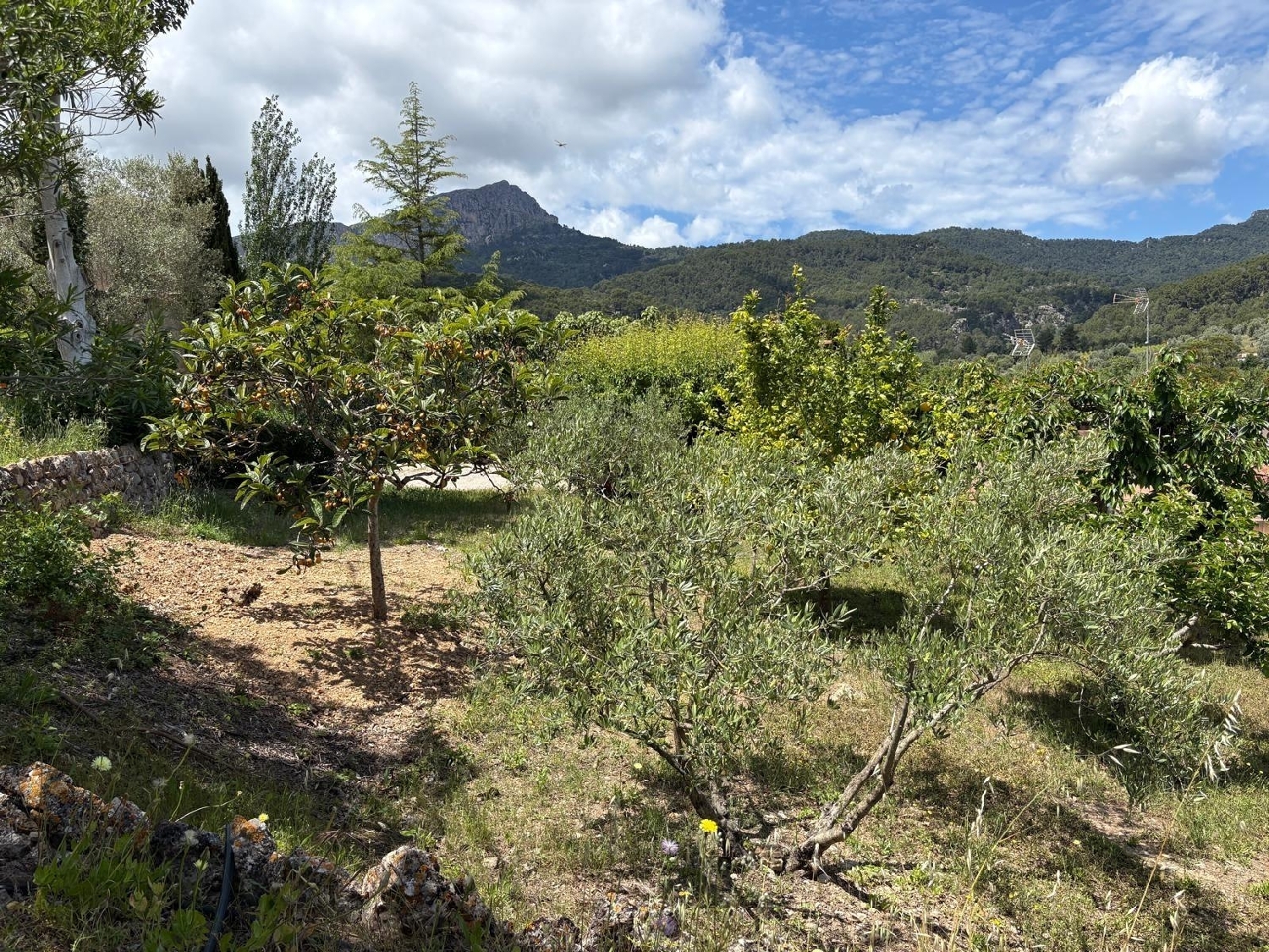 till salu tomt Puigpunyent Tramuntana 2