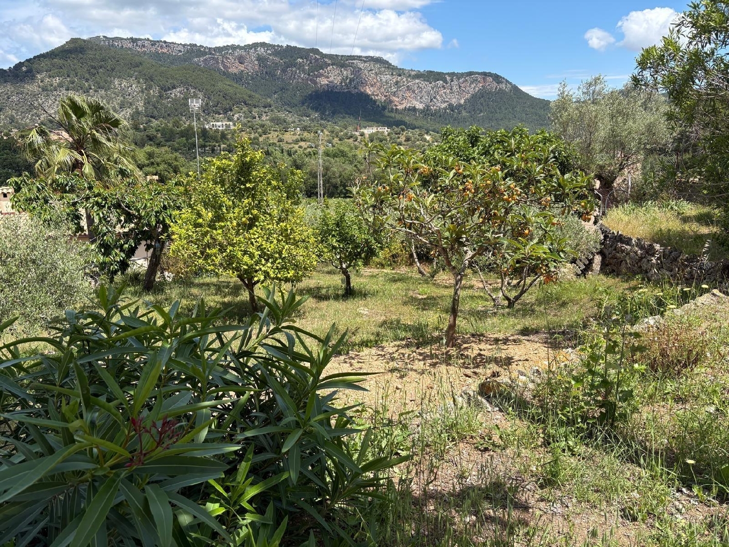 till salu tomt Puigpunyent Tramuntana 7