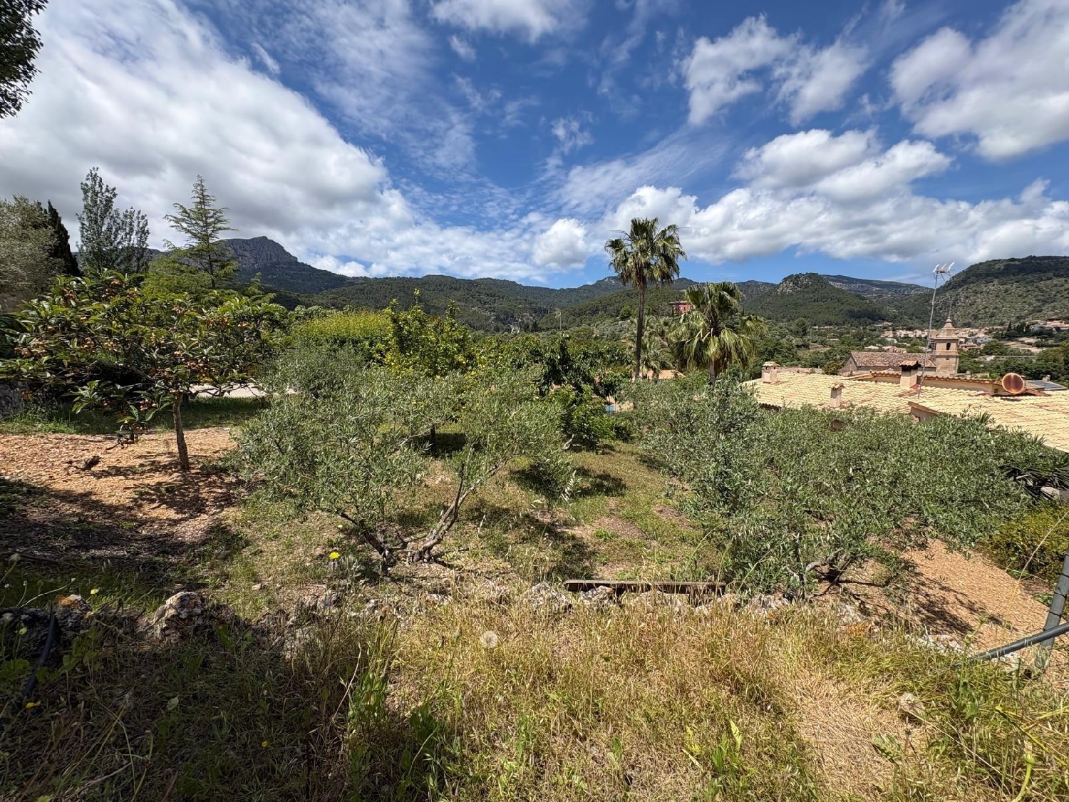 till salu tomt Puigpunyent Tramuntana 4