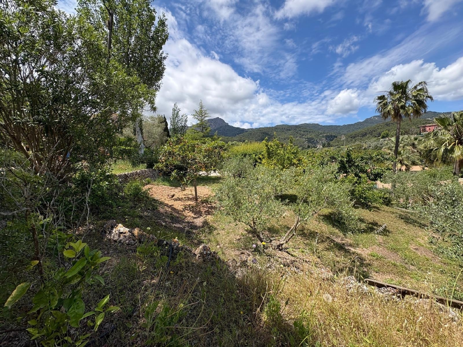 till salu tomt Puigpunyent Tramuntana 3