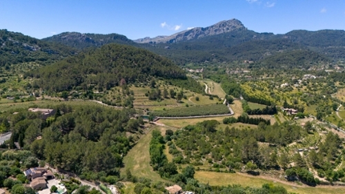 Puigpunyent Tramuntana plot foto 6385839