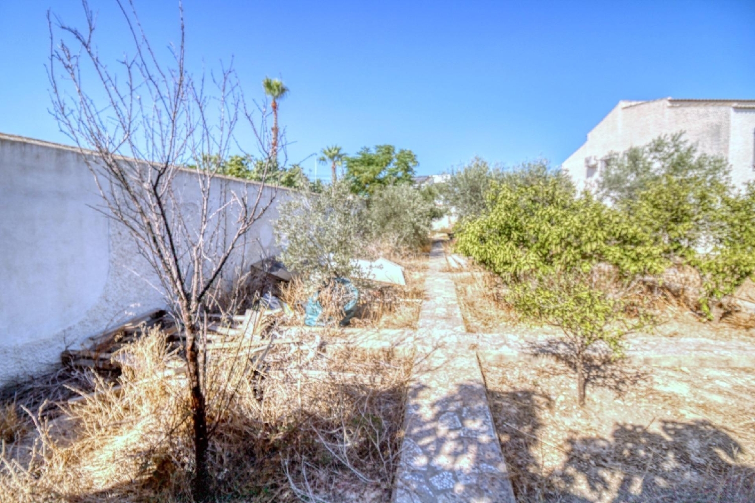  en venta terreno Rojales Baix Segura 4