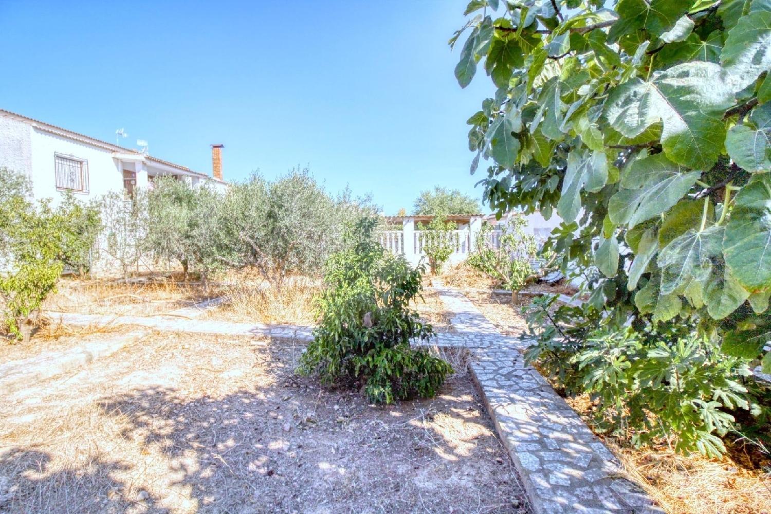  en venta terreno Rojales Baix Segura 3