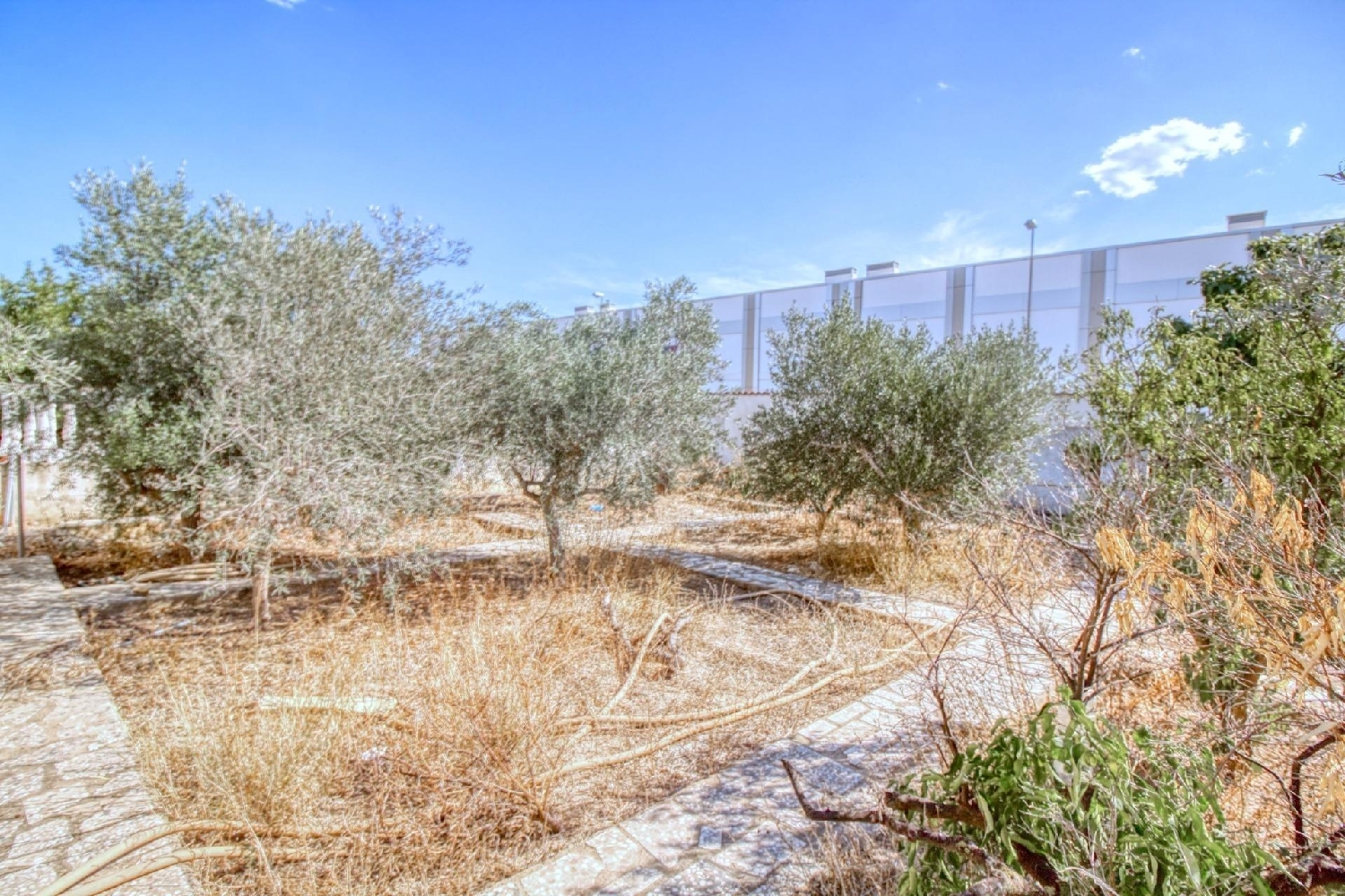  en venta terreno Rojales Baix Segura 8