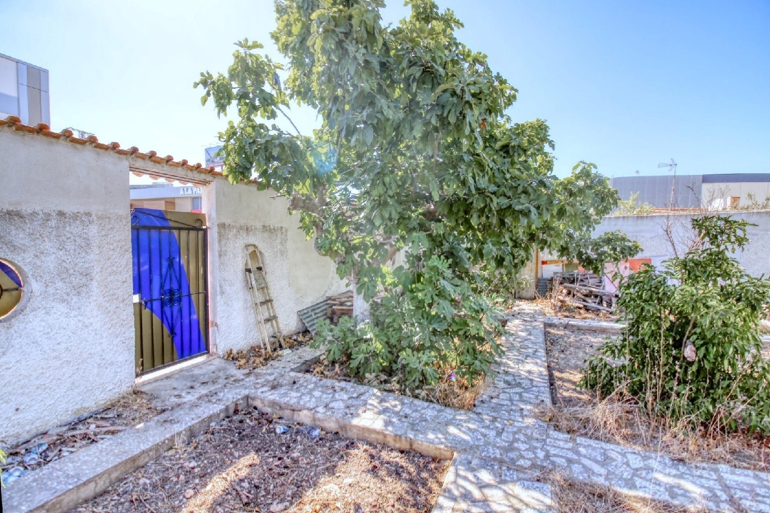  en venta terreno Rojales Baix Segura 5