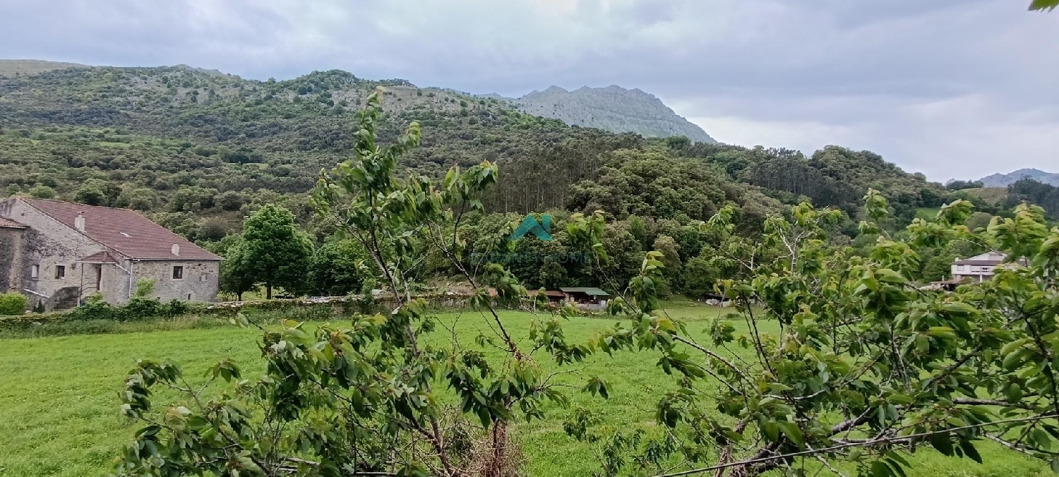  for sale plot Ruesga Montaña Palentina 7