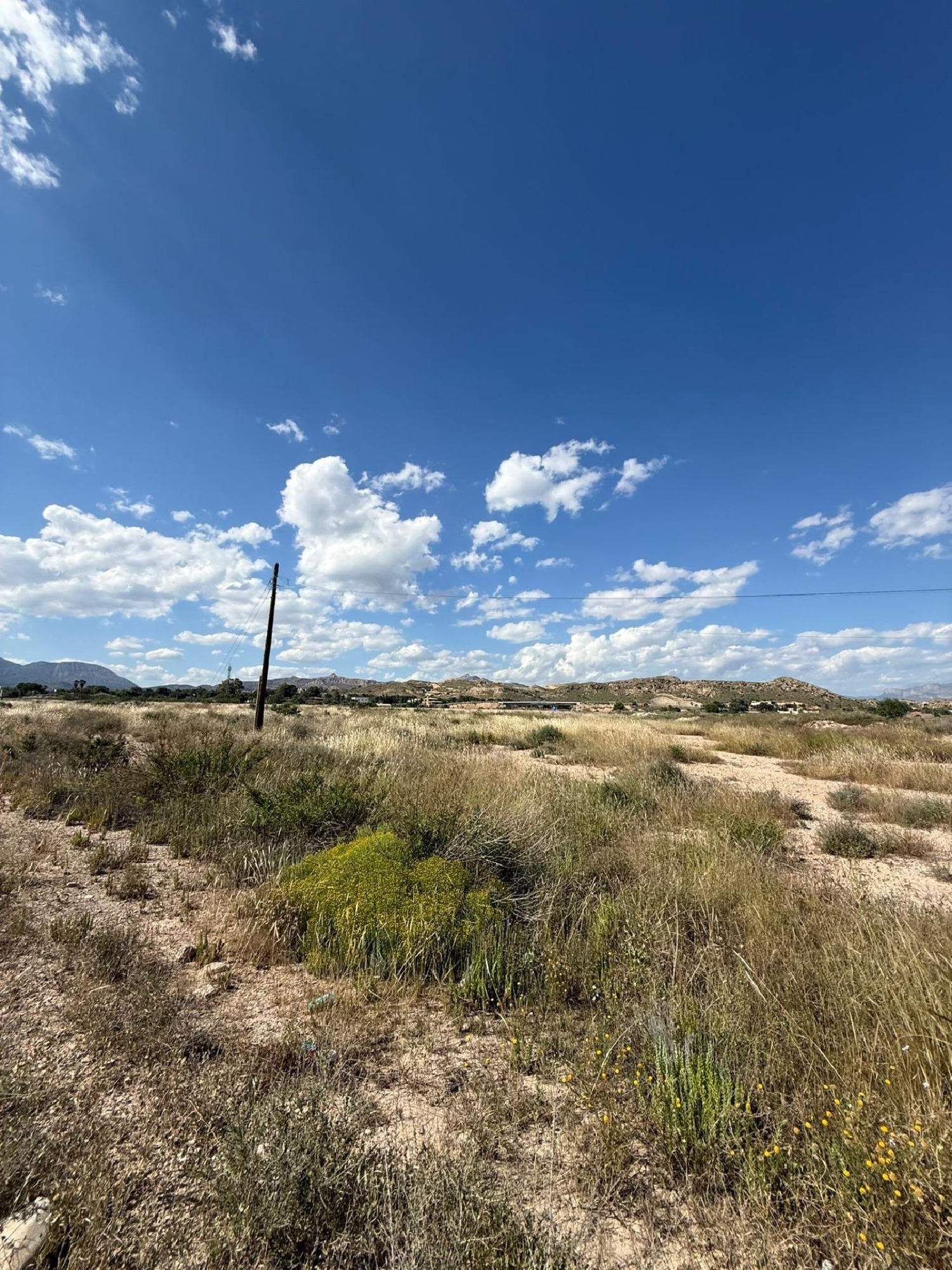 for sale plot San Vicente Del Raspeig Alacantí 4