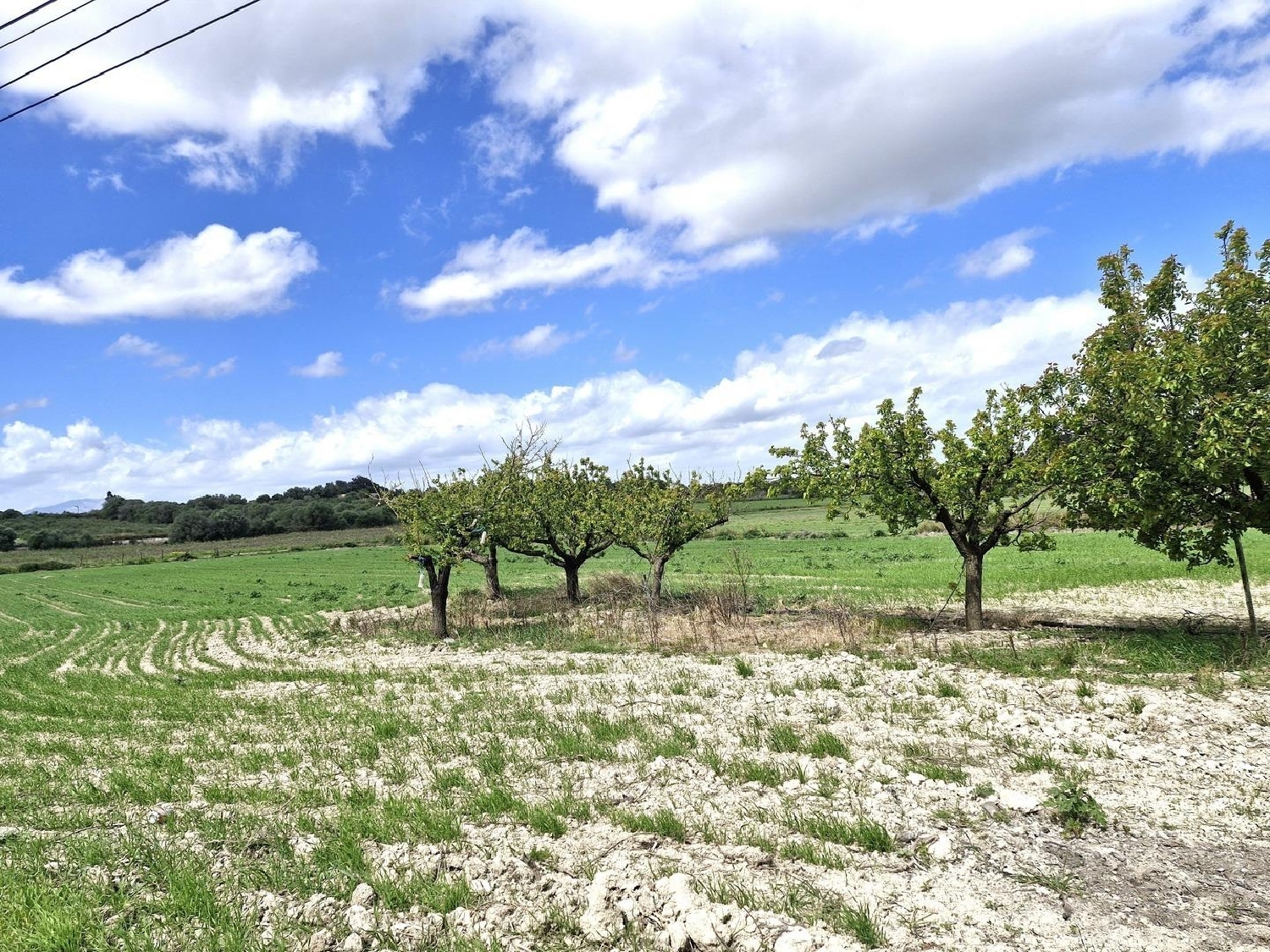  till salu tomt Santa Margalida Nord 7