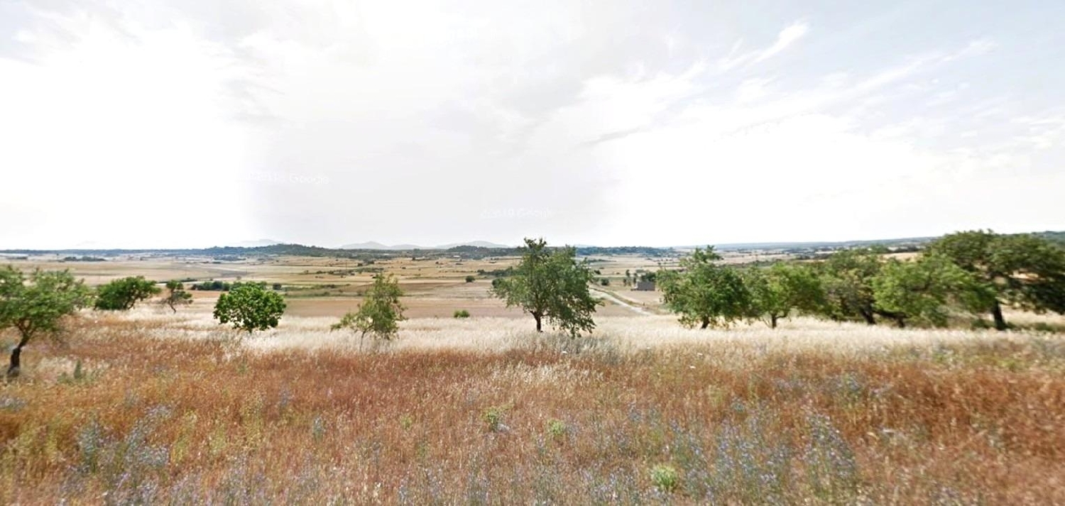  till salu tomt Santa Margalida Nord 2