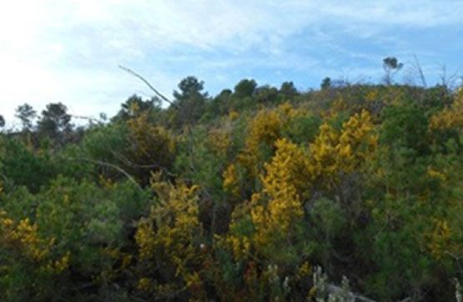 for sale plot Segorbe Alt Palancia 3
