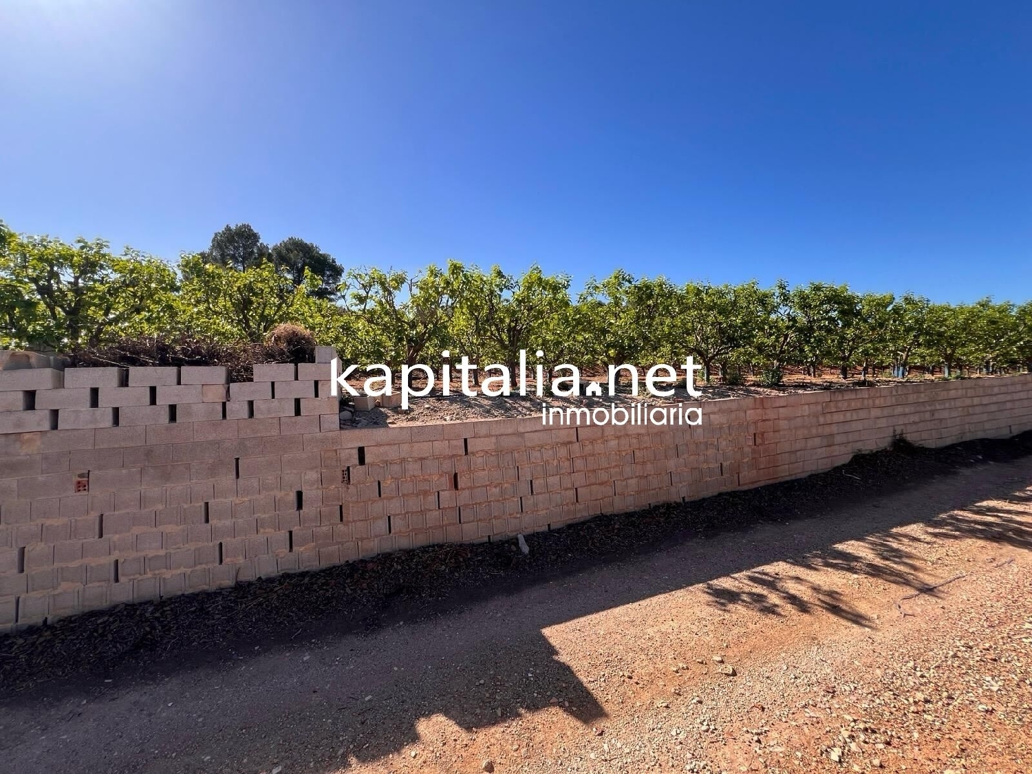  à vendre terrain Sellent Ribera Alta 3