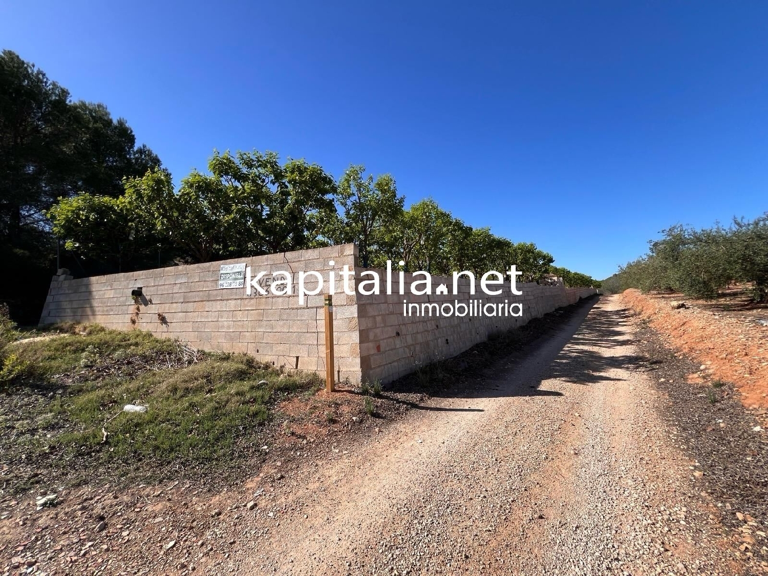  à vendre terrain Sellent Ribera Alta 6
