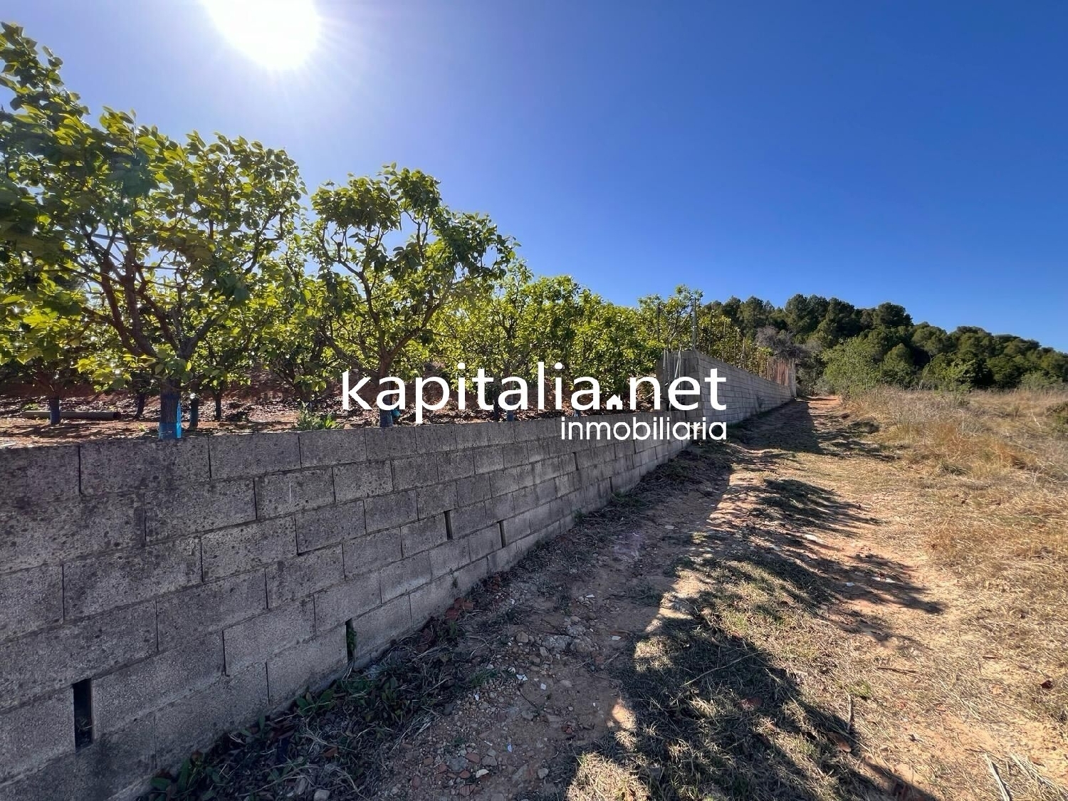  à vendre terrain Sellent Ribera Alta 2