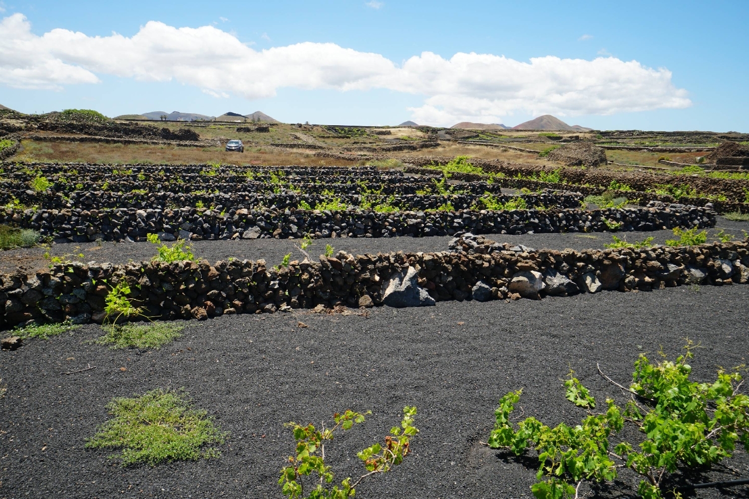  for sale plot Tinajo Lanzarote 7