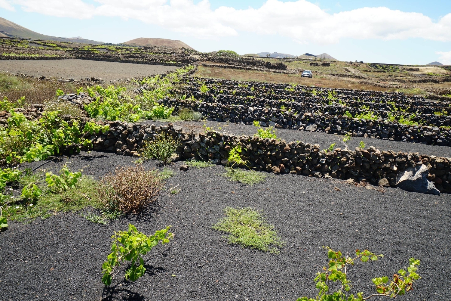  for sale plot Tinajo Lanzarote 4