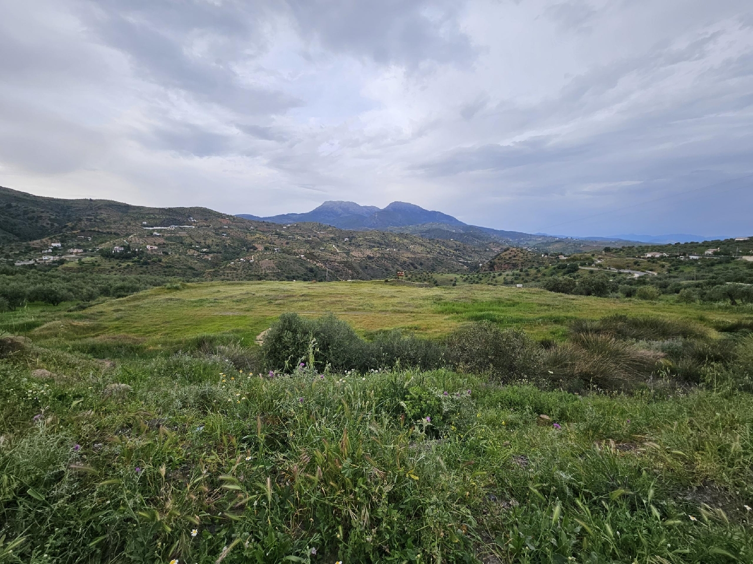  till salu tomt Tolox Sierra De Las Nieves 2