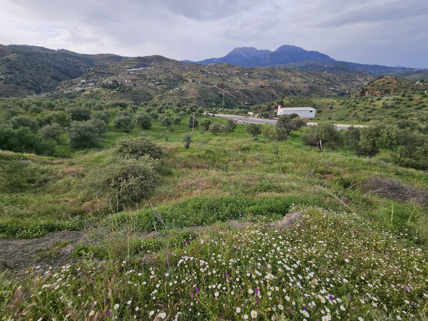  till salu tomt Tolox Sierra De Las Nieves 6