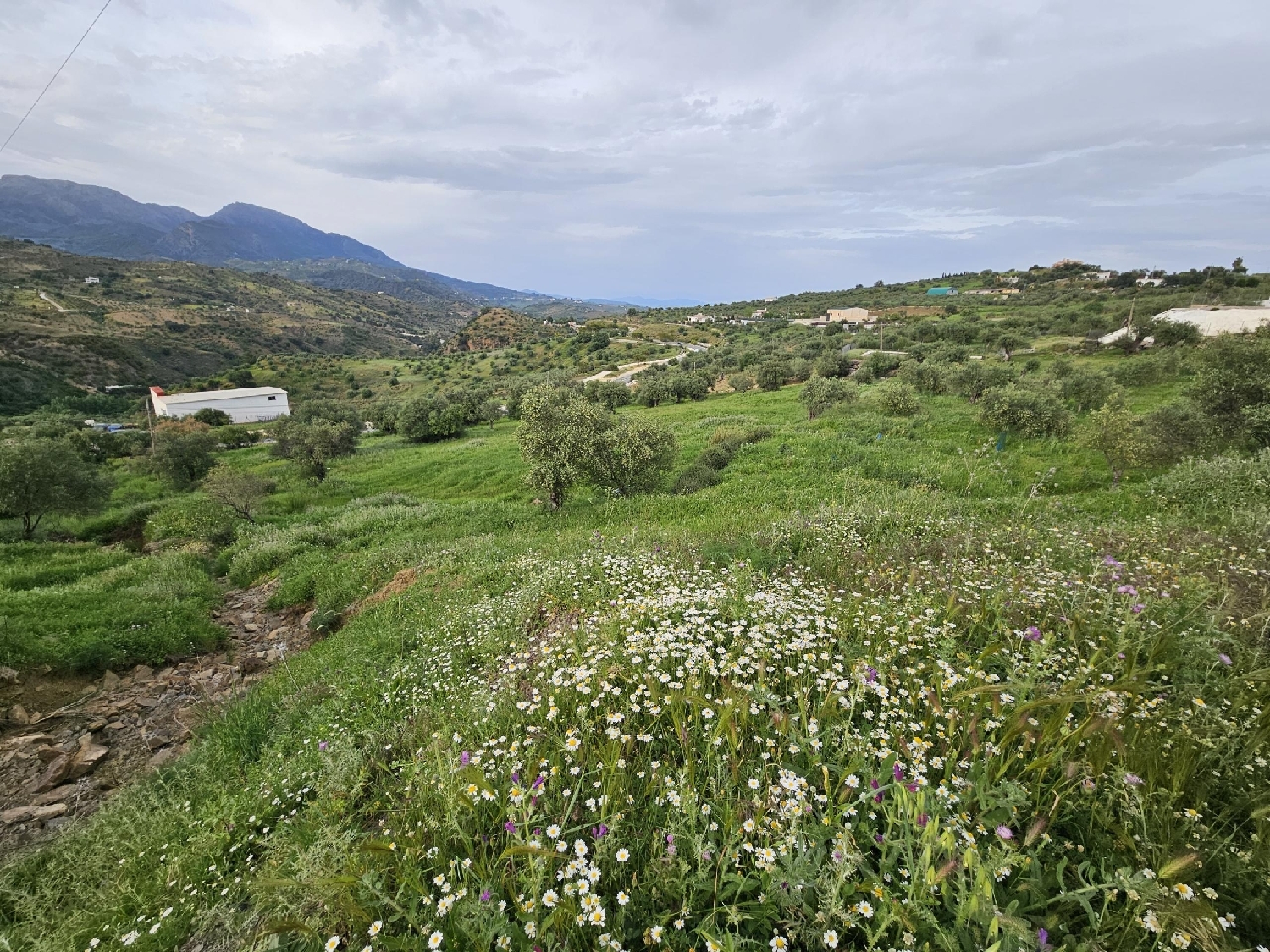  till salu tomt Tolox Sierra De Las Nieves 3