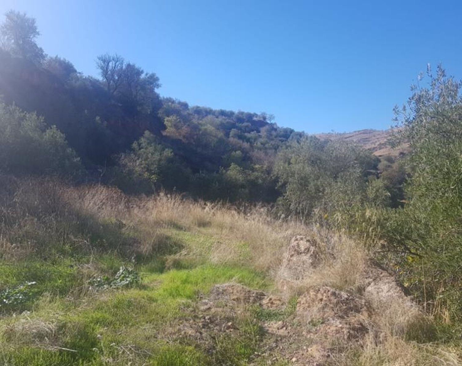 te koop perceel Ugíjar Alpujarra Granadina 2