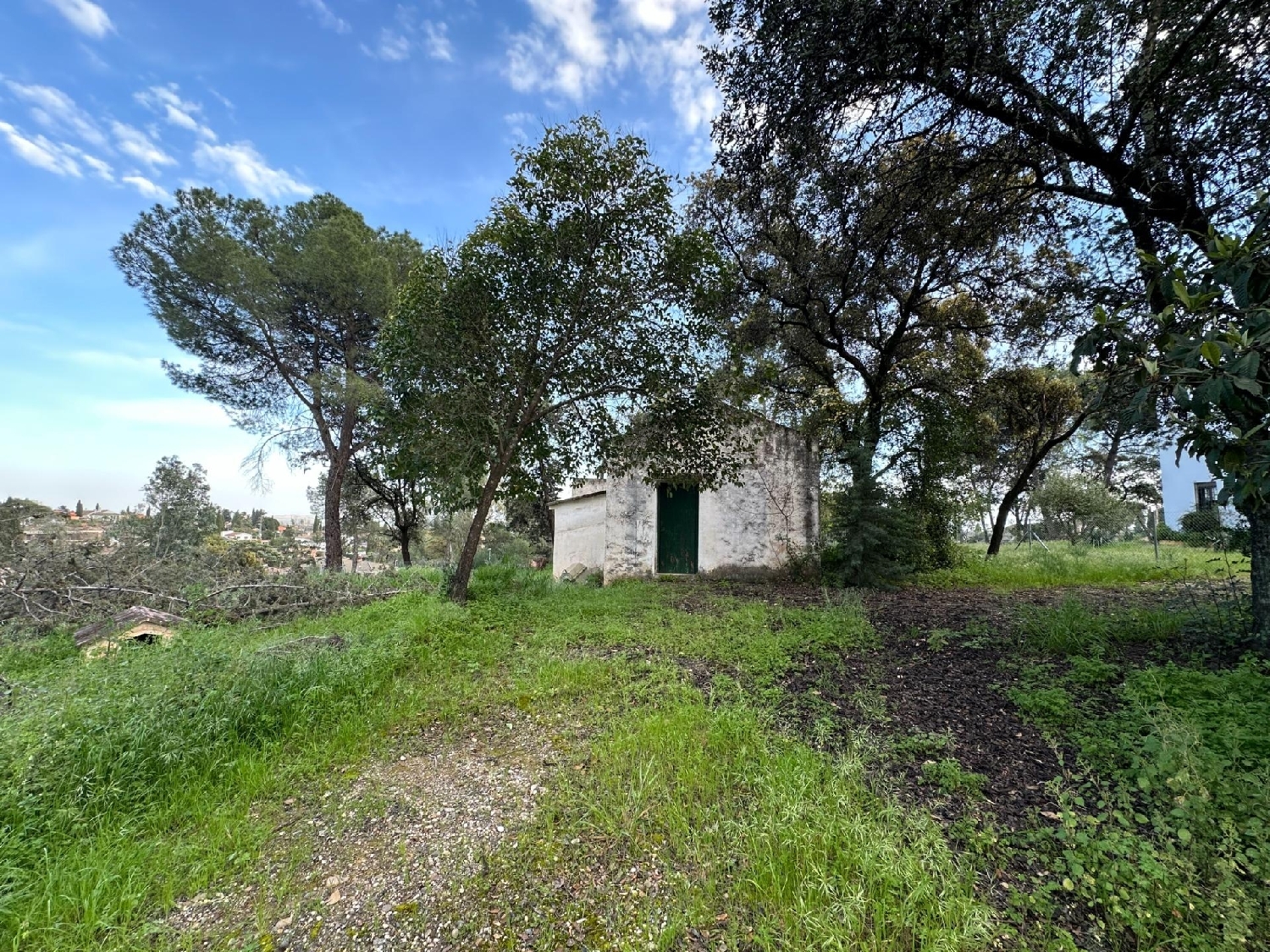 kaufen Grundstück Villafranca De Córdoba Alto Guadalquivir 3