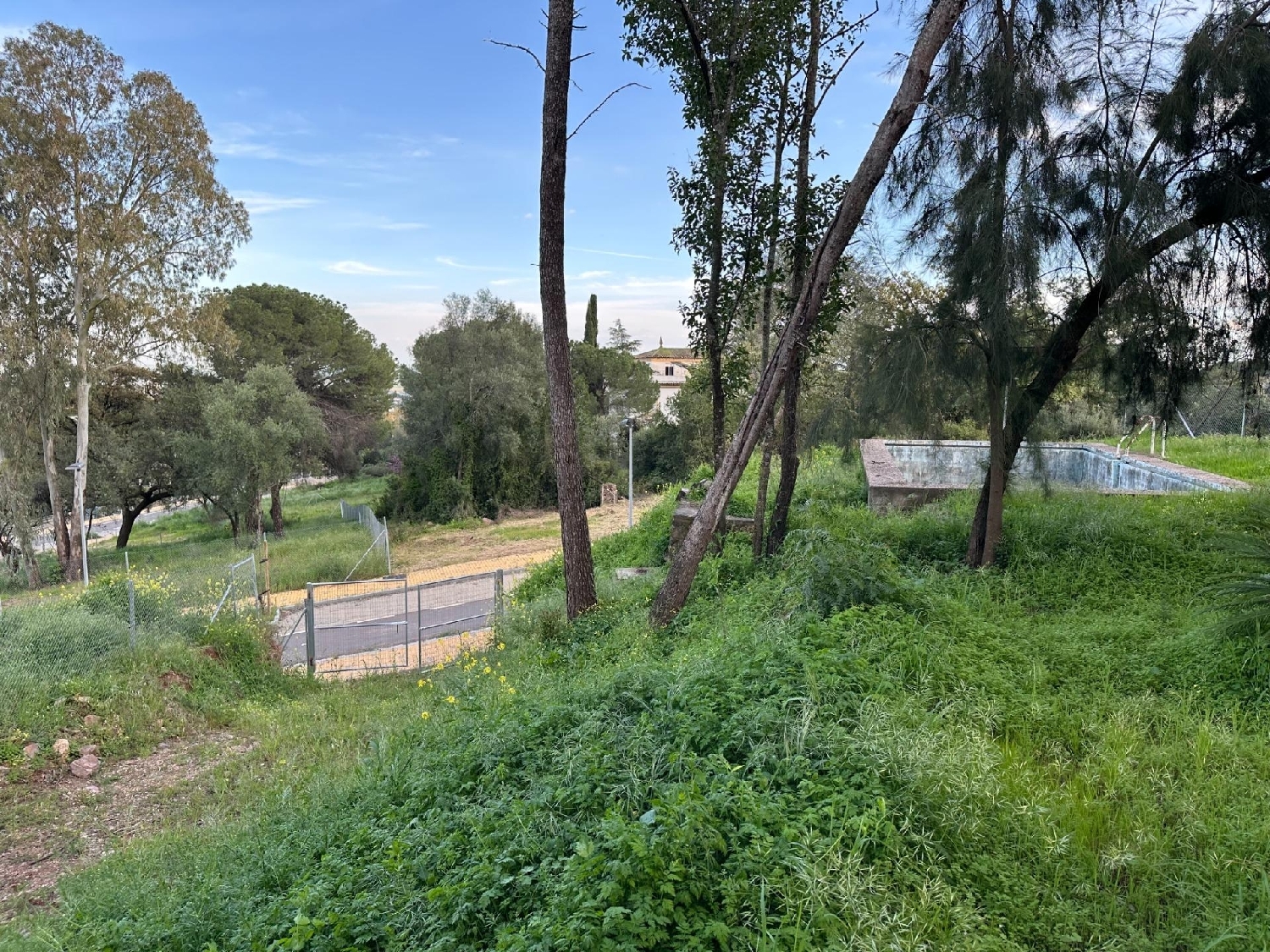 kaufen Grundstück Villafranca De Córdoba Alto Guadalquivir 4