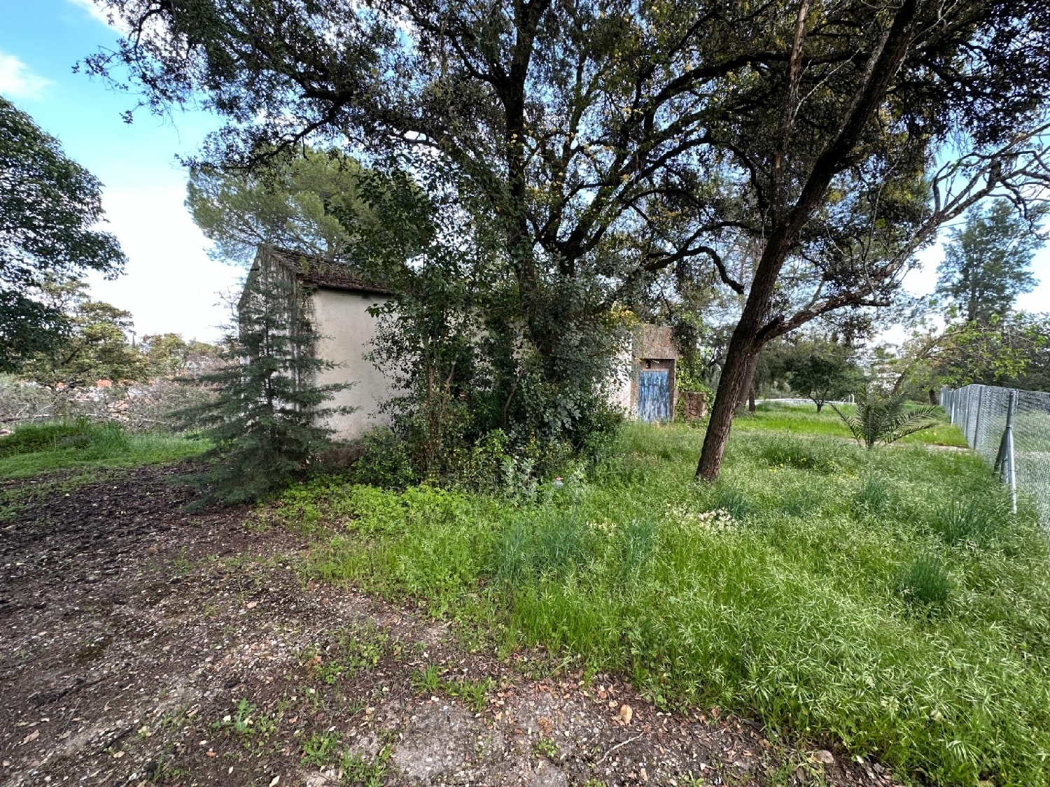  kaufen Grundstück Villafranca De Córdoba Alto Guadalquivir 5