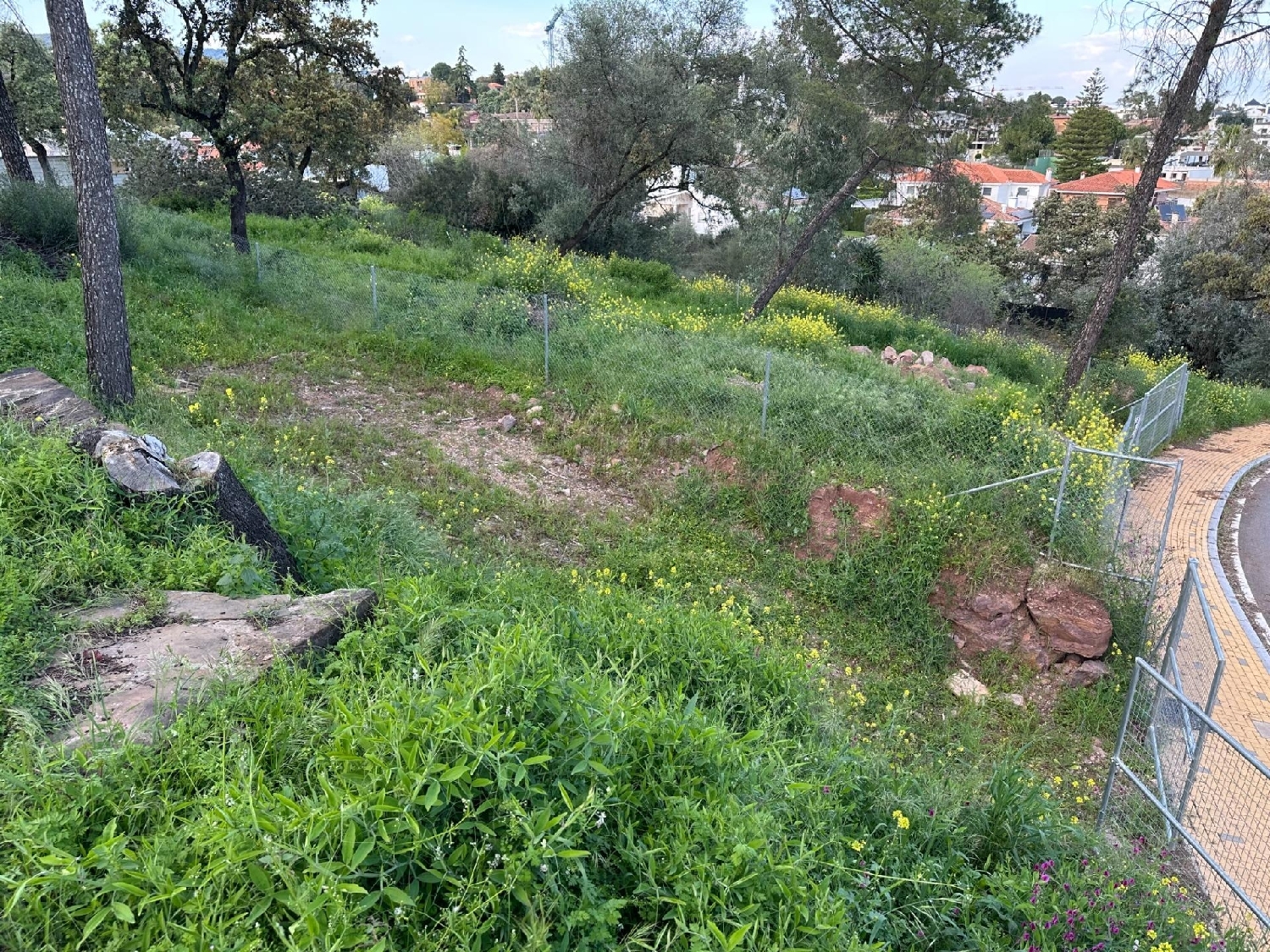  kaufen Grundstück Villafranca De Córdoba Alto Guadalquivir 6