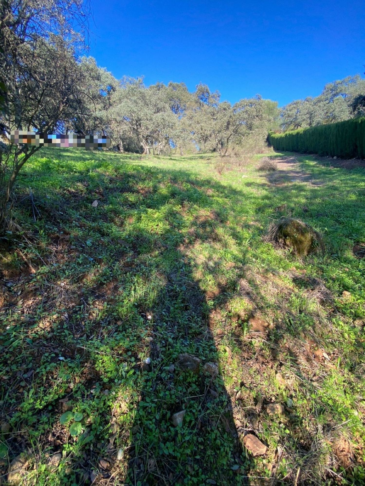  te koop perceel Villafranca De Córdoba Alto Guadalquivir 2