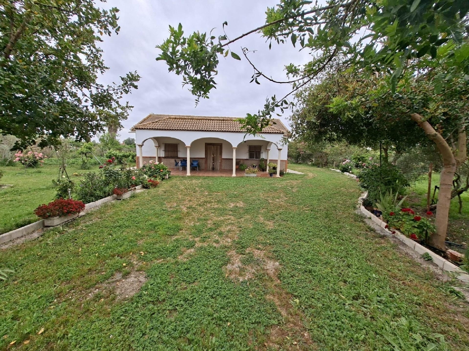  kaufen Grundstück Villamartín Baix Segura 3