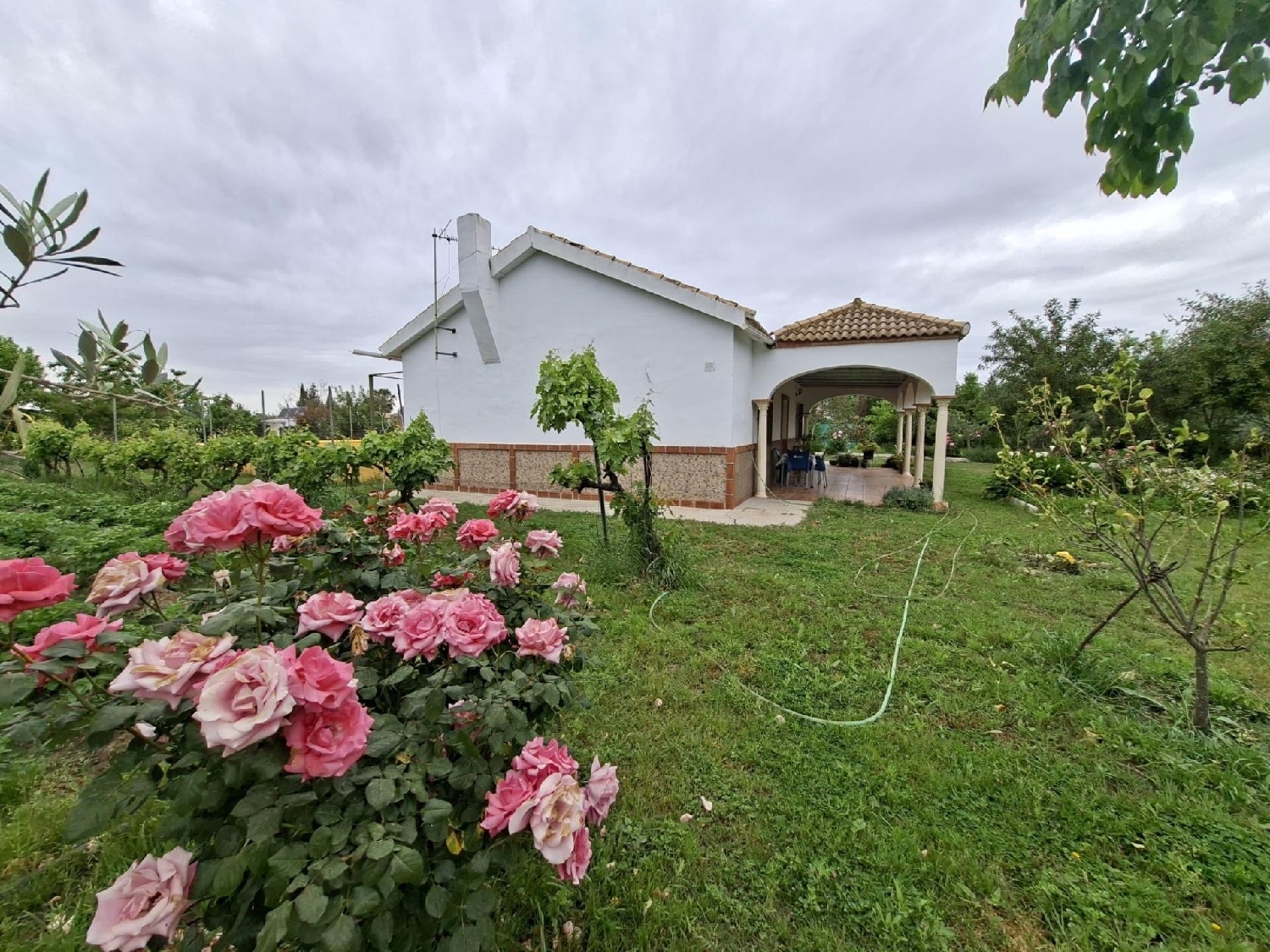  kaufen Grundstück Villamartín Baix Segura 1