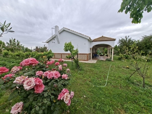 Villamartín Baix Segura Grundstück Bild 6378381