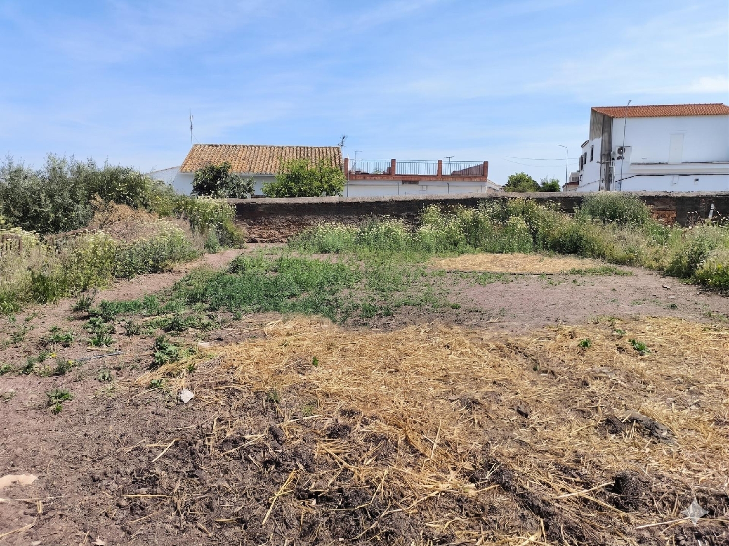  te koop perceel Villanueva Del Río Y Minas Vega Del Guadalquivir 2