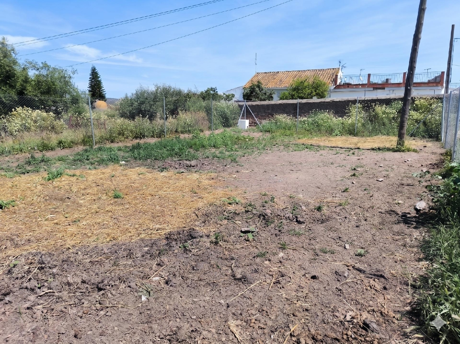 te koop perceel Villanueva Del Río Y Minas Vega Del Guadalquivir 3