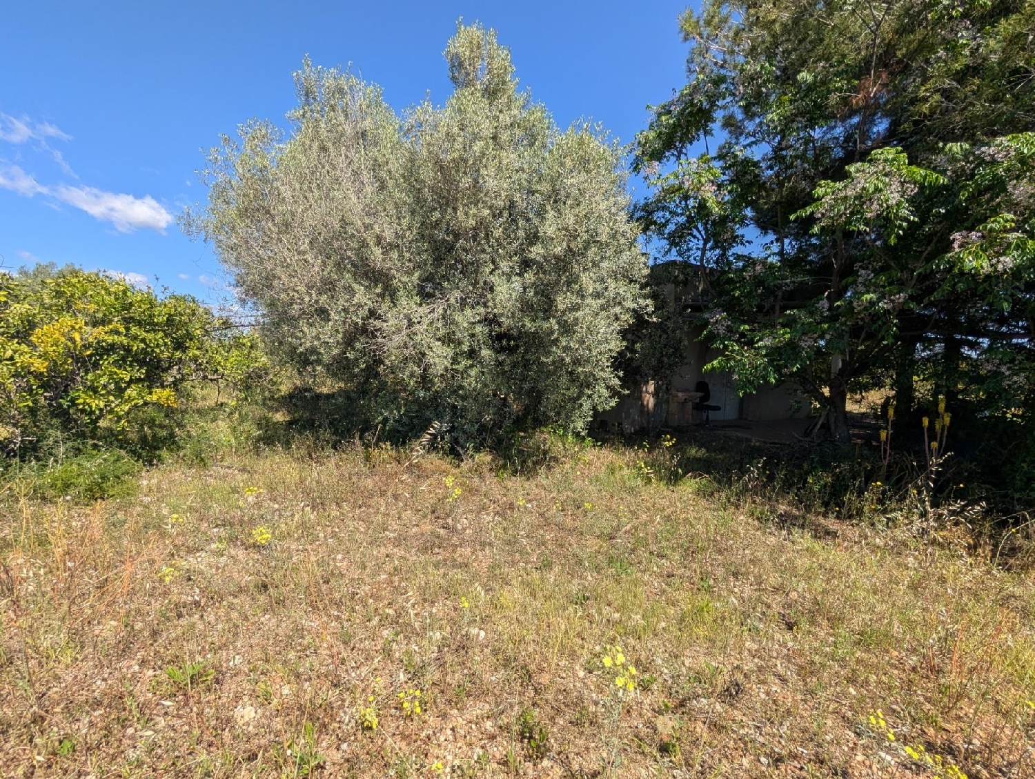 till salu tomt Vinaros Baix Maestrat 5