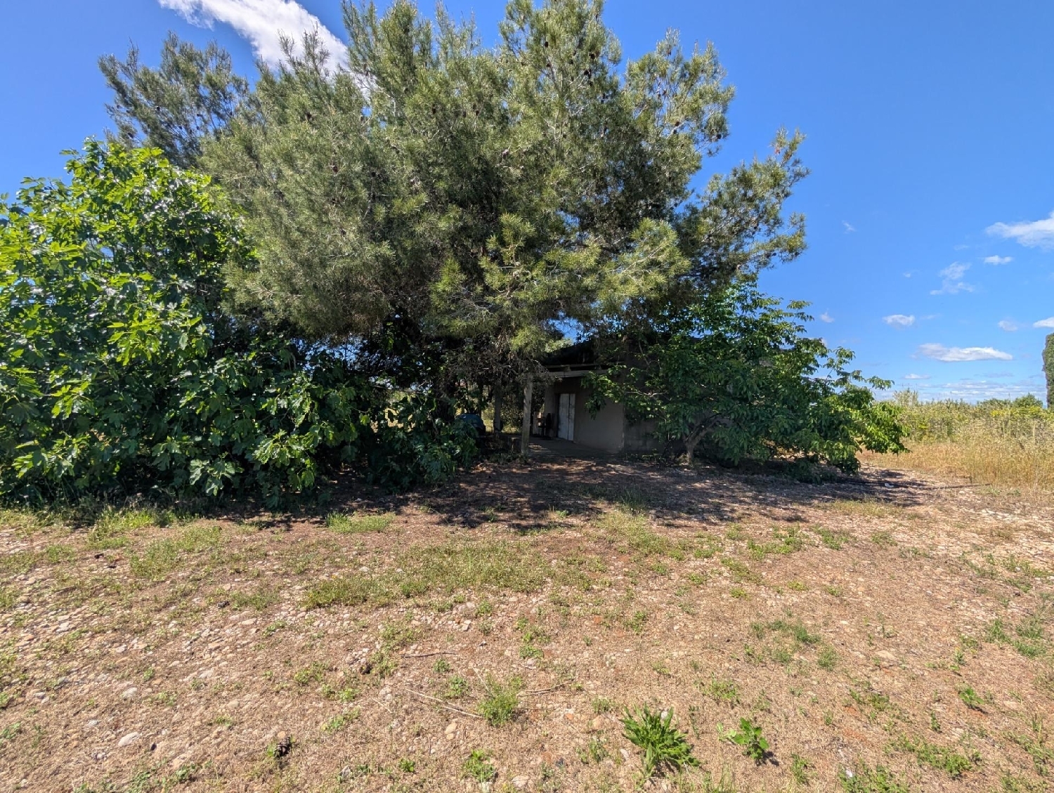 till salu tomt Vinaros Baix Maestrat 3