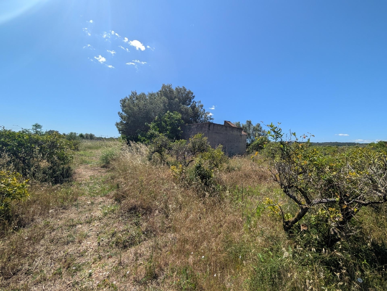 till salu tomt Vinaros Baix Maestrat 6