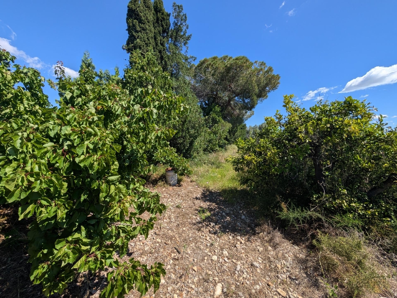 till salu tomt Vinaros Baix Maestrat 7
