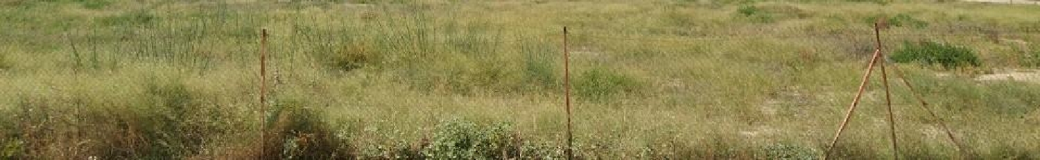 for sale plot Zeneta Huerta De Murcia 1