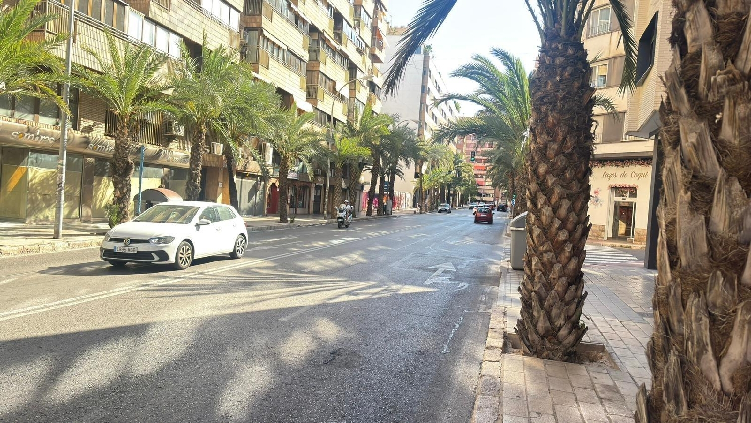 kaufen Gewerberaum Alicante Centro 03001 Alacantí 2