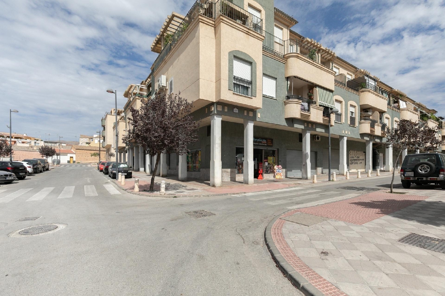 for sale commercial premise Atarfe Vega De Granada 3