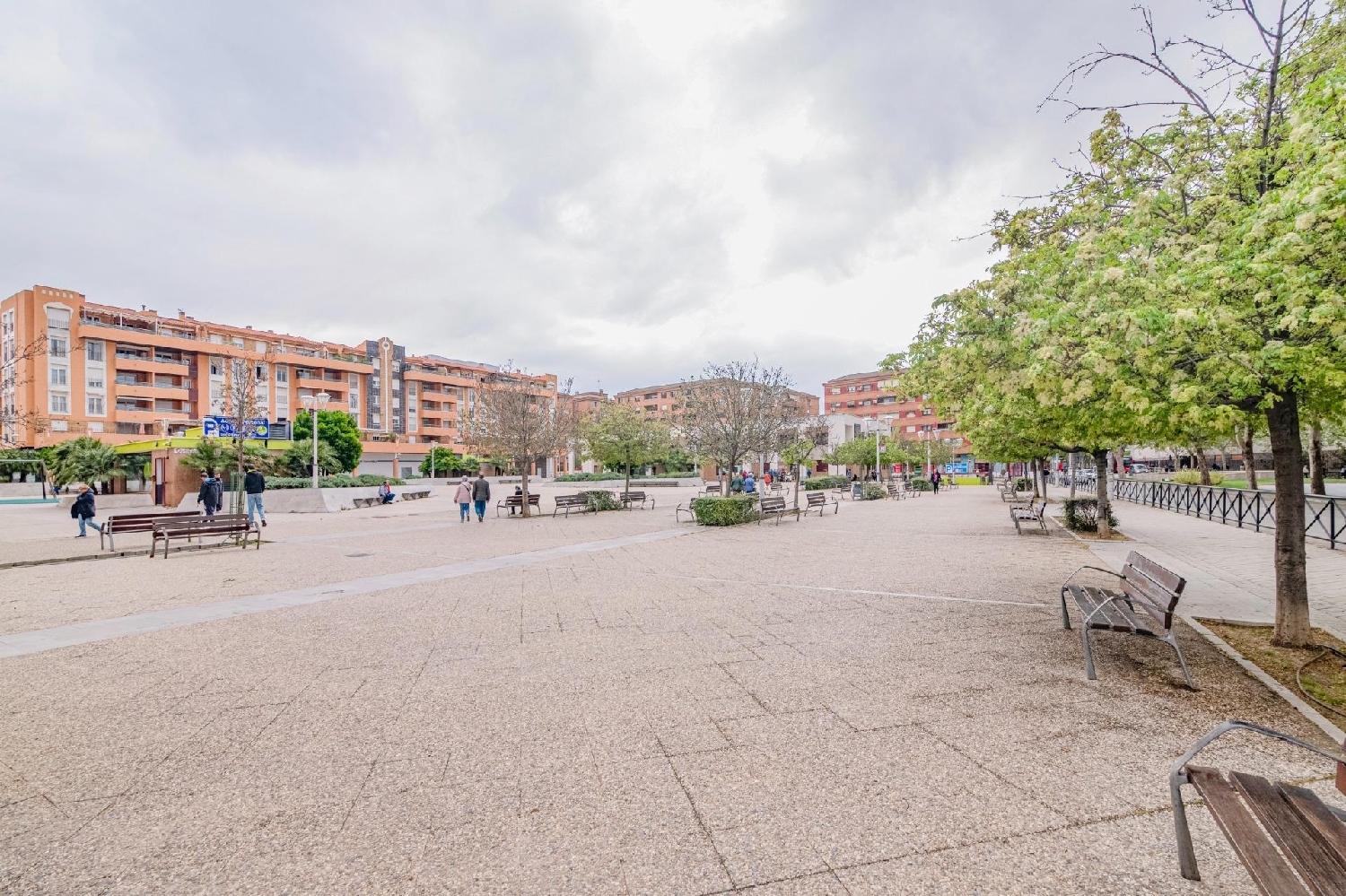  for sale commercial premise Barrio De Granada Alacantí 6