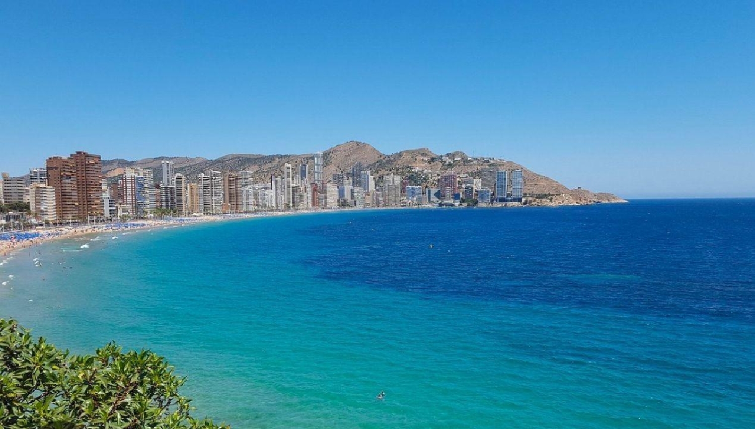  en venta local Benidorm (Centro) Marina Baixa 8