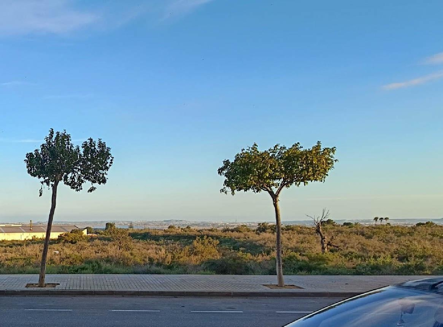  à vendre local commercial Crevillent Baix Vinalopó 2
