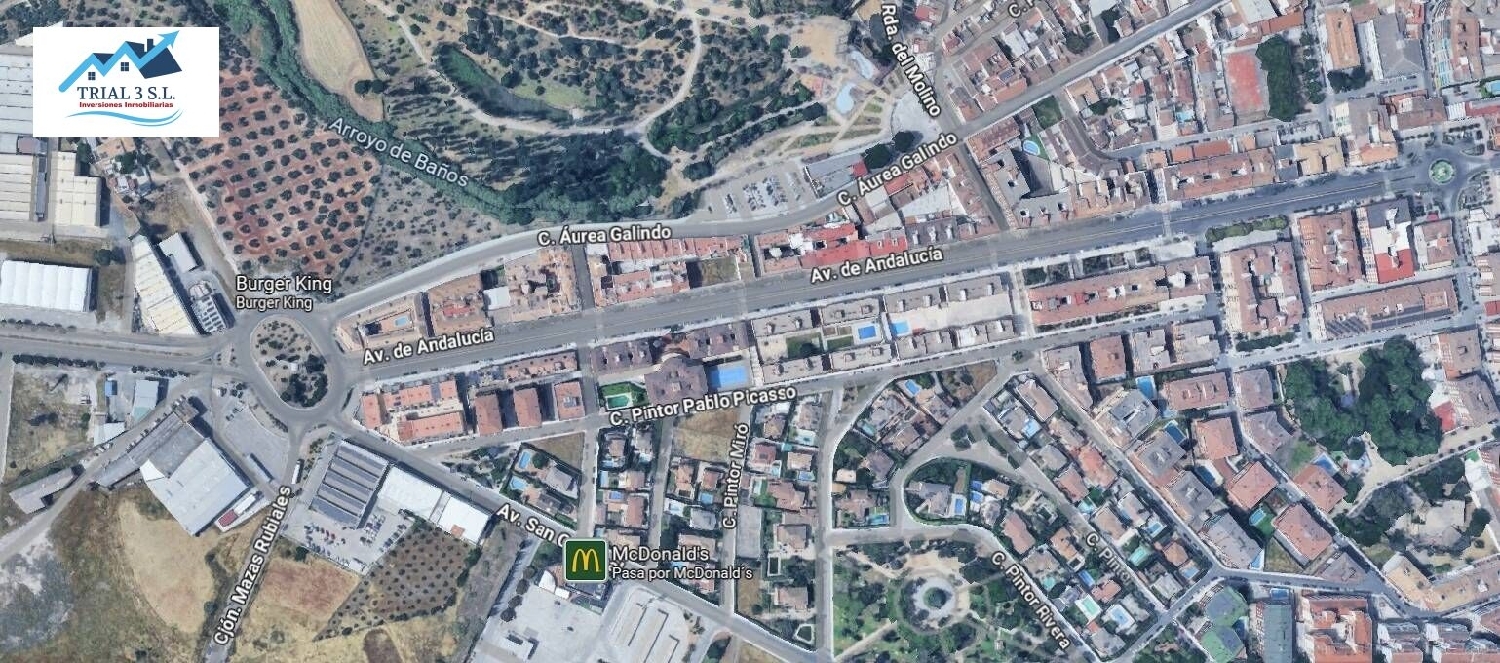  for sale commercial premise Linares Sierra Morena 2