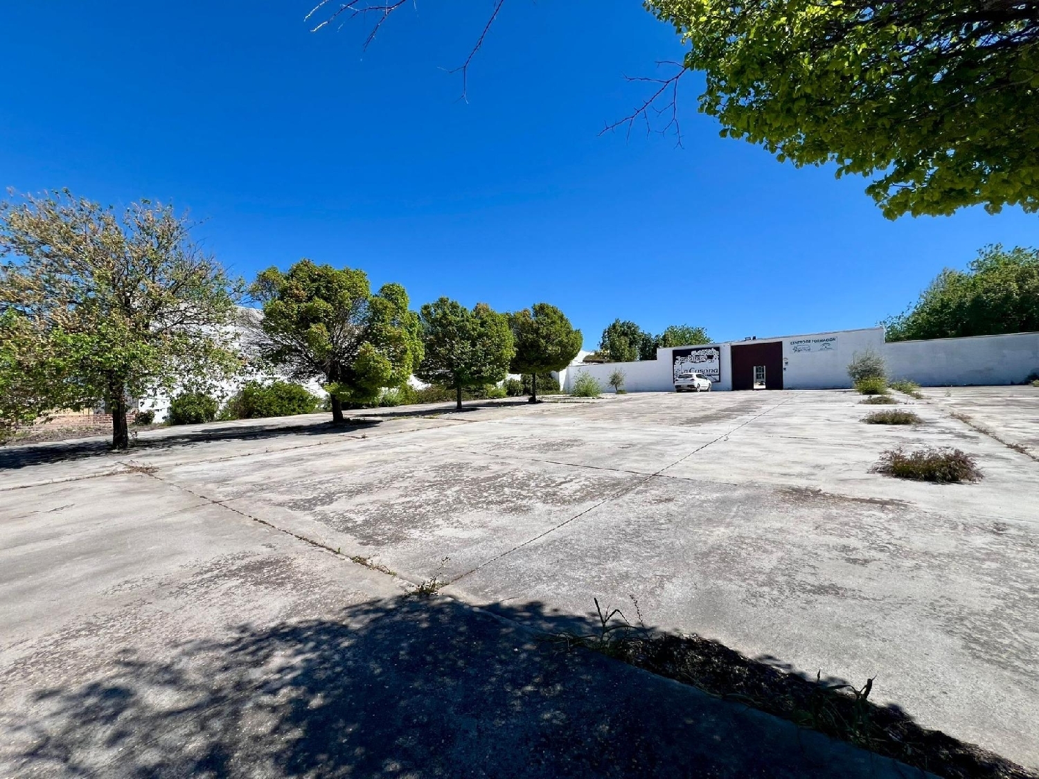 te koop winkel Aguilar De La Frontera Campiña Sur 2