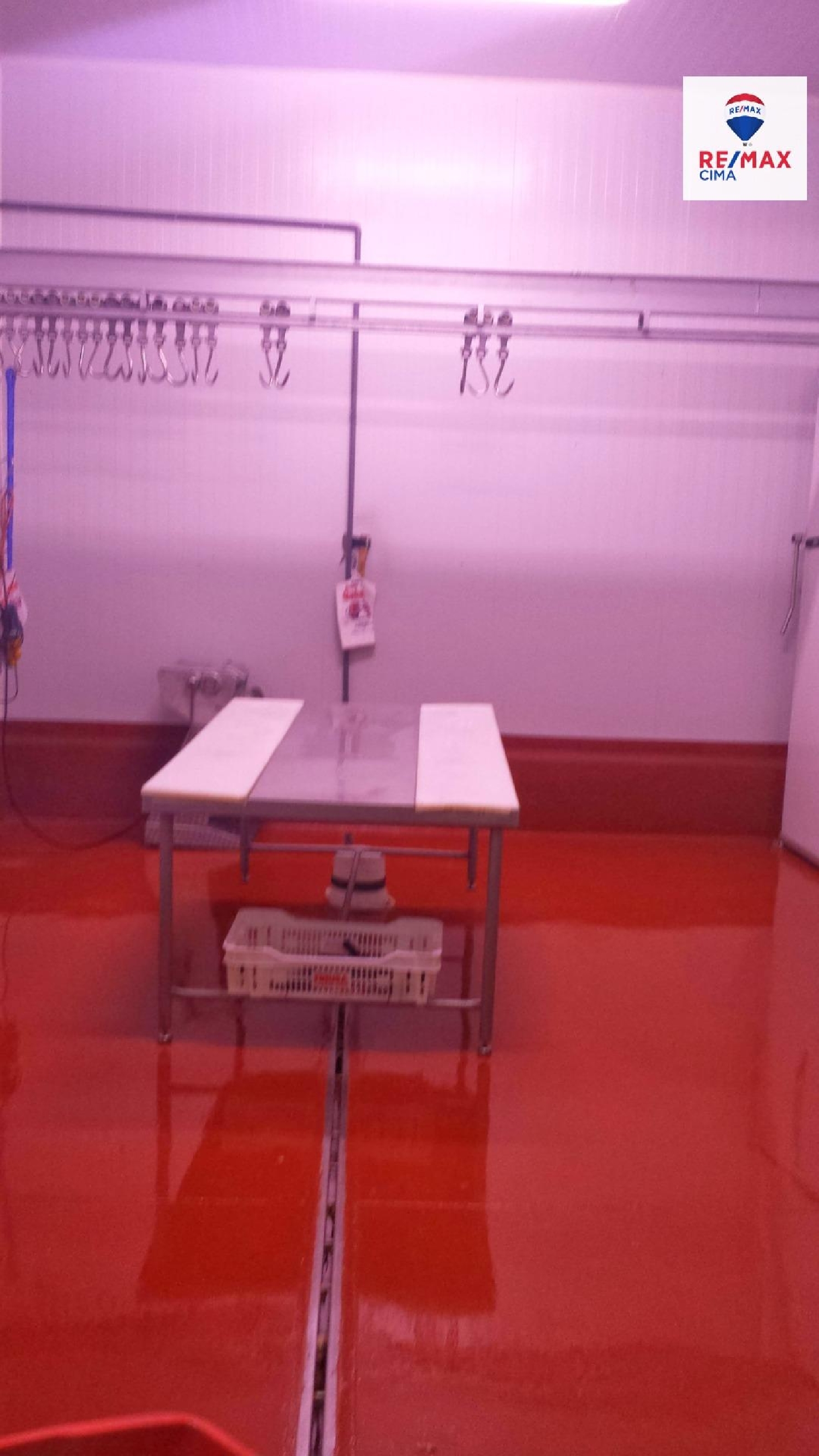  for sale shop Baza Baza 5