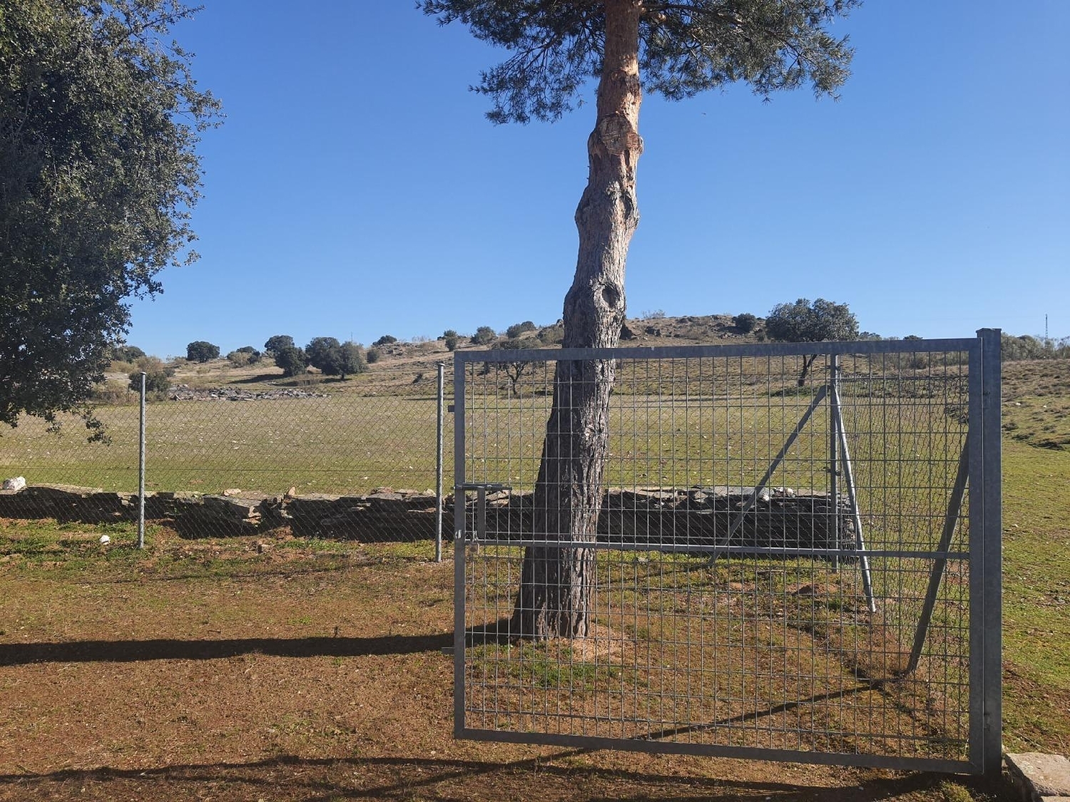  en venta comercio Bernardos Campiña Segoviana 6