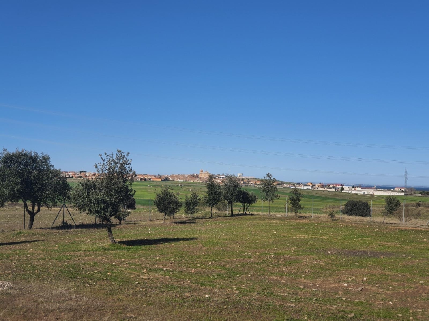  en venta comercio Bernardos Campiña Segoviana 4