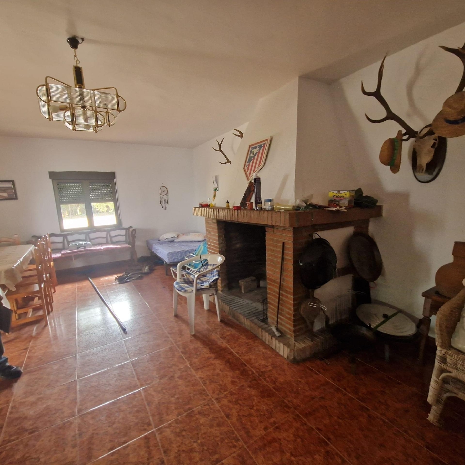  kaufen Laden Los Yébenes Montes De Toledo (Los) 6