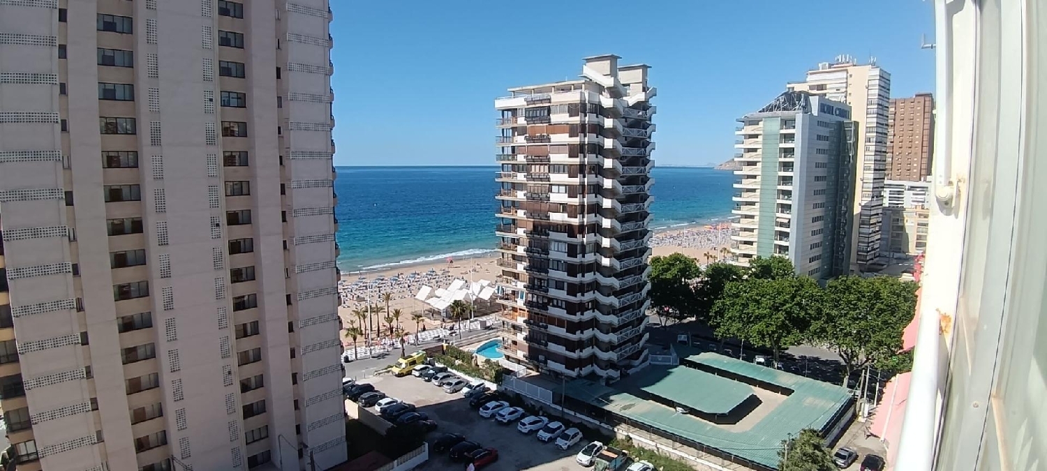  en venta estudio Benidorm (Centro) Marina Baixa 2
